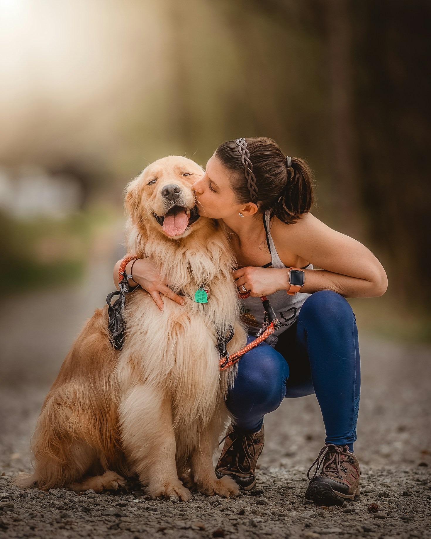 Köpeklerde Beslenme Düzeni Nasıl Oluşturulmalıdır